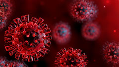 Grafik: Coronavirus