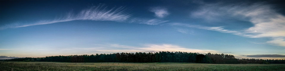 Foto: Grambeker Heide