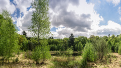 Foto: Grundloser Kolk im Wildpark Mölln