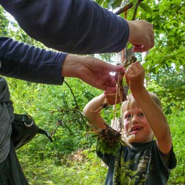 Foto: Mobile aus Zweigen