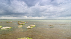 Foto: Ostsee am Brooker Wald